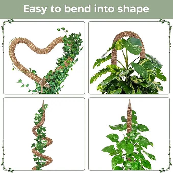 2 Pack 46'' Bendable Moss Pole Monstera Plant Support for Climbing Indoor Plants - Stakes for Potted Climbers - Tall Sticks Indoor Trellis for Houseplants - Accessories for Monstera Pot by GreenHaven Gardens