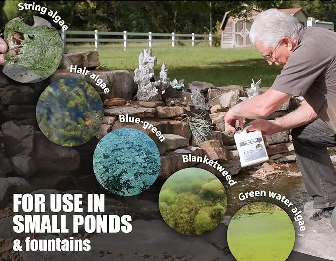 Bloom Buster Pond Algae Control - 16oz - Fast Acting Algaecide, Use in Fountains & Outdoor Ponds Containing Koi & Other Fish - EPA Registered by GreenHaven Gardens