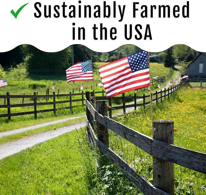 Grub Fuel Black Soldier Fly Larvae for Chickens - Nutrient-Packed BSFL, Sustainably Sourced Snack for Poultry, Rich in Protein, Calcium, Fiber, Essential Fatty Acids, USA Grown (1LB) by GreenHaven Gardens