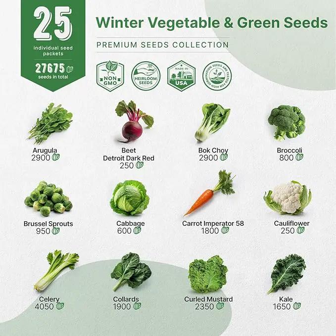 Organo Republic 25 Winter Vegetable Garden Seeds Variety Pack for Outdoors & Indoor Home Gardening 6500+ Non-GMO Heirloom Seeds: Broccoli Beet Carrot Collard Lettuce Radish Spinach Pea Kohlrabi by GreenHaven Gardens