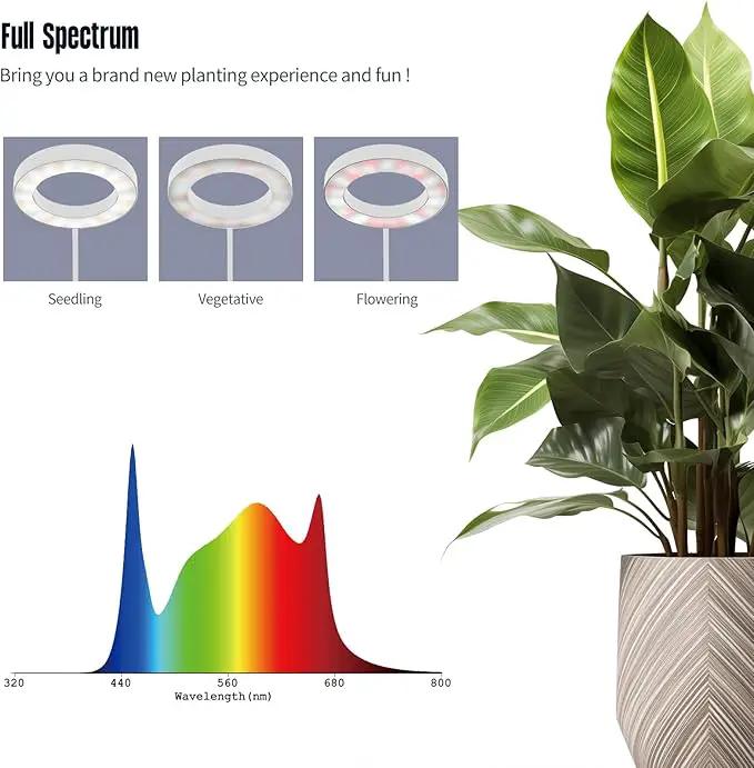 GLOWRIUM Indoor Grow Light, 40 Watt Full Spectrum LED Plant Growth Light with Stand, Adjustable Height with Timer 3/9/12 hrs, White LED Plant Lamp by GreenHaven Gardens