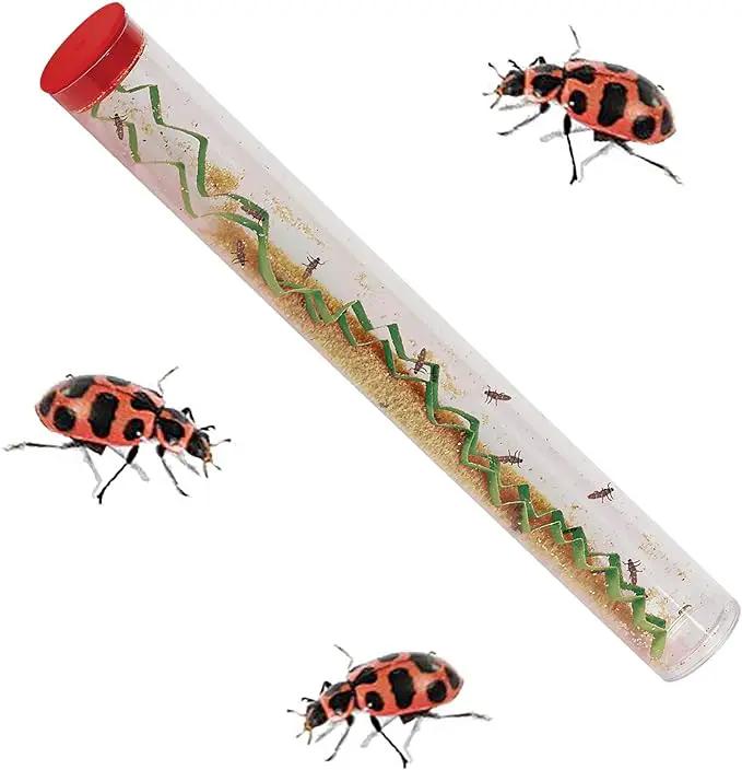 Insect Lore Live Ladybug Growing Kit | Ladybug Land Habitat | 10-15 Live Pink Spotted Ladybug Larvae Included by GreenHaven Gardens