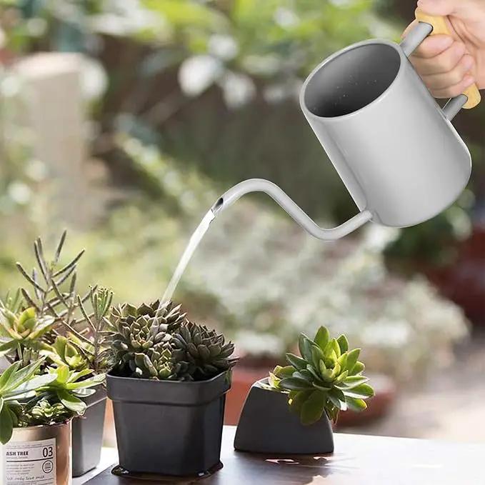 Watering Can Indoor Plants, 35 oz/1000 ml Metal Stainless Steel Watering Can Pot with Long Spout for Indoor House Plants Bonsai Outdoor Garden Flower Decorative (Gray) by GreenHaven Gardens