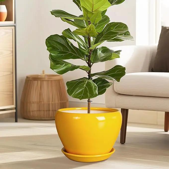 Ceramic Planter - 10 Inch Plant Pot for Indoor Outdoor Plants Glaze Modern Round Planter with Drainage Hole and Saucer for Garden Office Home Room Patio Decor, Yellow by GreenHaven Gardens