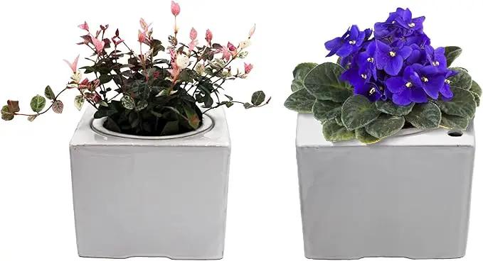 2-Pack Ceramic African Violet Self Watering Pot 6 Inch Square Pot 3.5 Inch Innter Pot Easy Fill Water Reservoir White by GreenHaven Gardens