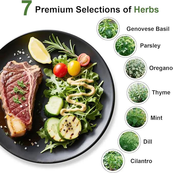 Gourmet Herbs Seed Pod Kit for AeroGarden, iDoo, Ahopegarden, MUFGA Hydroponics Garden with Basil, Parsley, Thyme, Mint, Cilantro, Dill, Oregano - Compatible with All Hydroponics (12-Pod) by GreenHaven Gardens