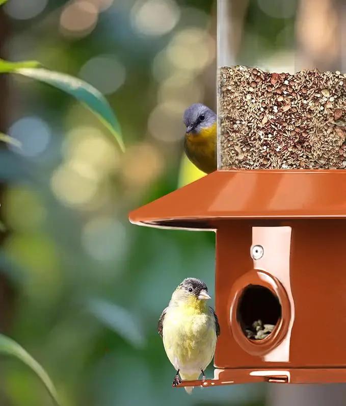 Squirrel Proof Bird Feeder for Outdoor, Gravity Sense Squirrel Proof Wild Bird Feeders for Finch Cardinal Chickadee, 4.8LB Large Capacity Hanging Birdfeeder by GreenHaven Gardens