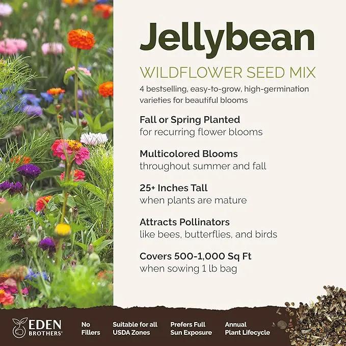Eden Brothers Jellybean Flower Mixed Seeds for Planting, 1 lb, 480,000+ Seeds with Zinnia, Cornflower, Cosmos, Calendula | Attracts Pollinators, Plant in Spring or Fall, Zones 3, 4, 5, 6, 7, 8, 9, 10 by GreenHaven Gardens