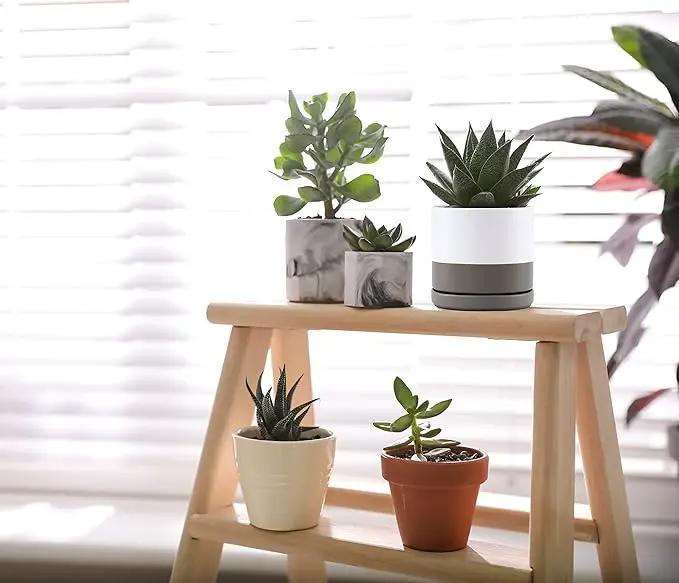 D'vine Dev Set of 4 Small Ceramic Plant Pots, 4.6 Inch Succulent Planter Pot for Plants with Drainage Hole and Saucer, White/Speckled Grey, 94-X-B-6 by GreenHaven Gardens