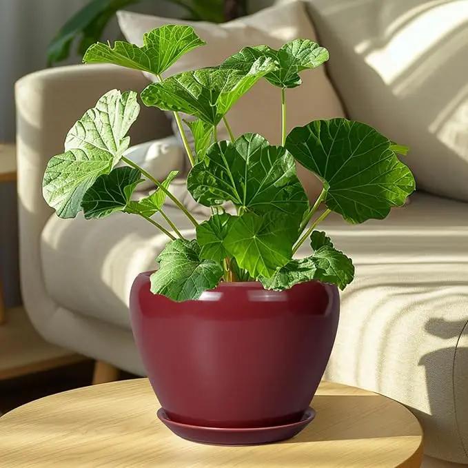 Ceramic Planter - 8 Inch Plant Pot Indoor with Drainage Hole and Saucer Planter for Outdoor Plants Round Flower Pot for House Patio Decor Red by GreenHaven Gardens