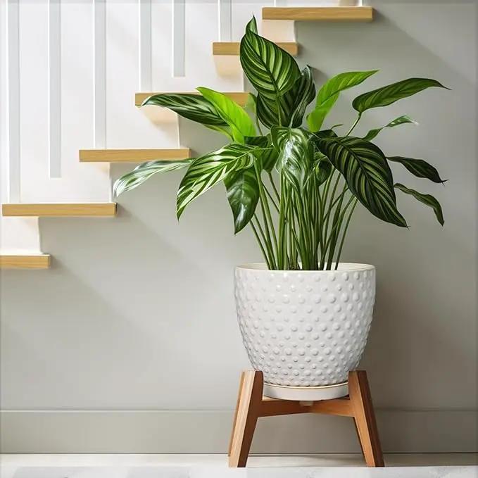 G EPGardening 10 Inch Plant Pot Ceramic Pots for Plants Indoor Outdoor Plant Pots with Drainage Hole and Saucer Round Large Flower Pot for Home Garden Office White by GreenHaven Gardens