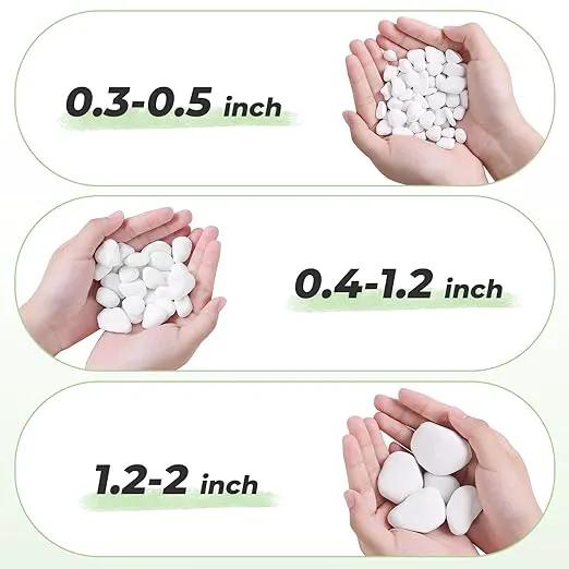 SIDONG 10 LB White River Rocks, 0.3-0.5 Inches Matte Pebbles for Indoor Plants, Aquarium Rocks Used in Fish Tank, Decorative Stones for Plants, Vases, Home Décor, Crafting, Garden Landscaping by GreenHaven Gardens