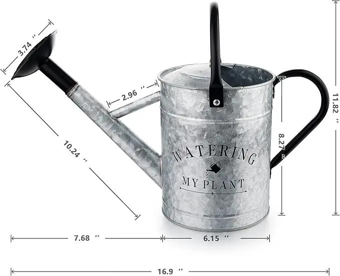 Galvanized Watering Can for Outdoor Indoor Plants, 1 Gallon Decorative Countryside Style Water Can with Removable Spout, Perfect Metal Watering Can for Indoor Plants and Garden Flower by GreenHaven Gardens