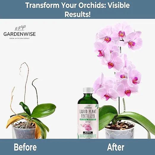 Liquid Orchid Fertilizer Concentrate 3-1-2 with Micronutrients Orchid Care Made Easy (32 OZ) by GreenHaven Gardens