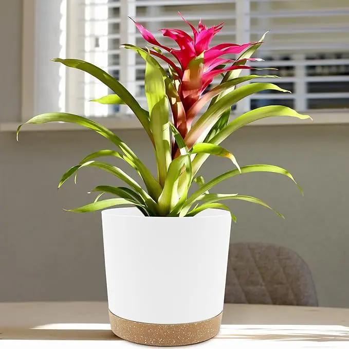 QCQHDU 6.5 inch Plant Pot, 2 Pack Planters for Indoor Plants with Drainage Holes & Saucer, Outdoor Flower Pots Home Garden Modern Decor by GreenHaven Gardens