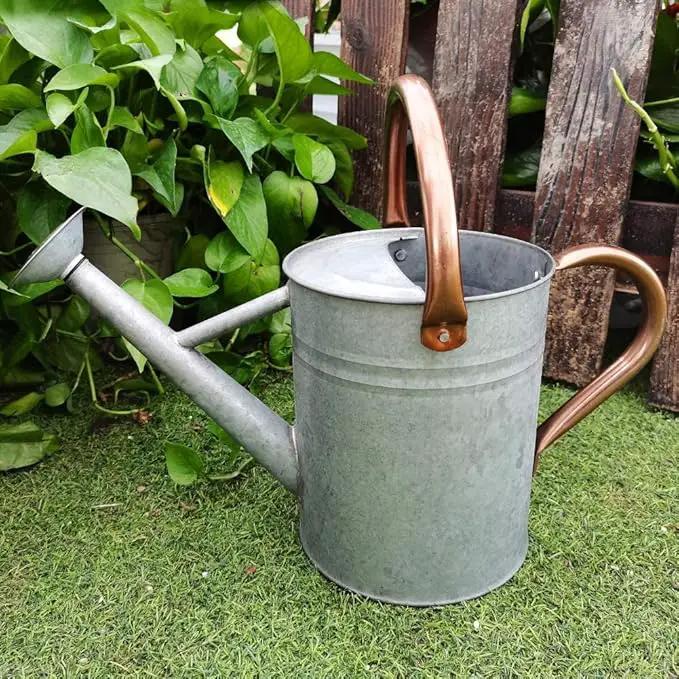 Metal Watering Can, One Gallon Watering Cans Stainless Steel for Outdoor Indoor Garden Plants Watering (Zinc 1 Gallon) by GreenHaven Gardens