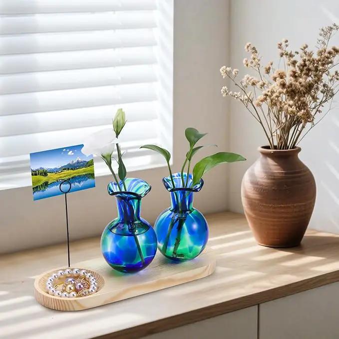 Hand Blown Glass Plant Propagation Stations Plant Terrarium Wooden Stand for Hydroponic Plants Combine Jewelry Tray and Photo Holder Office Home Garden Decor - 2 Bulb Glass Vases by GreenHaven Gardens