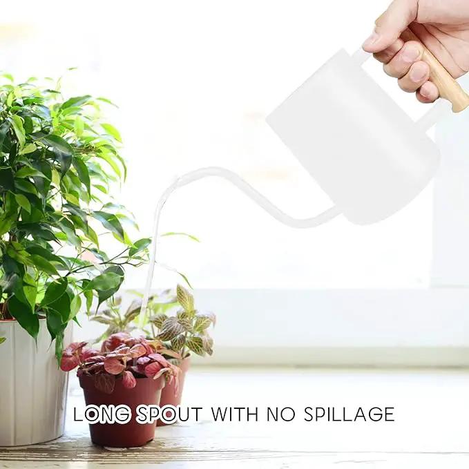 Watering Can Indoor Plants, 35 oz/1000 ml Metal Stainless Steel Watering Can Pot with Long Spout for Indoor House Plants Bonsai Outdoor Garden Flower Decorative (White) by GreenHaven Gardens