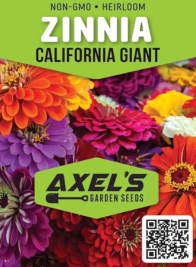Zinnia Seeds for Planting – Non-GMO Heirloom Zinnia Flower Seeds – Full Instruction Packets to Plant in Your Home Outdoor Garden – Gardening Gift – 50 California Giant Zinnia Seeds (3 Packets) by GreenHaven Gardens