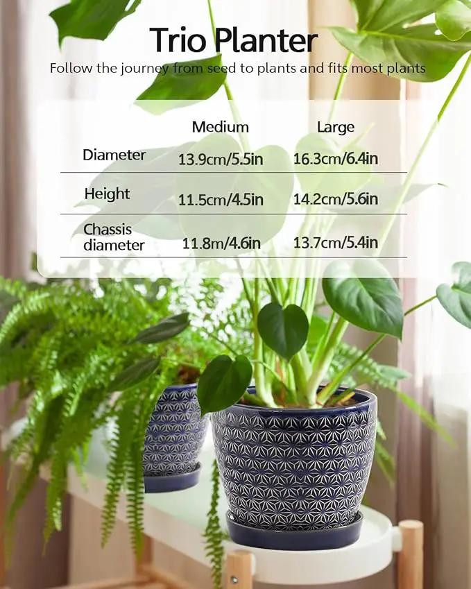 Plant Pots, Flower Pots, Planters for Indoor Plants(6.5+5.5inch), Flower Pots for Indoor Plants with Drainage Hole and Saucer, Ceramic Pots for Plants with Hole Mesh Pad,Reactive Glaze Blue by GreenHaven Gardens