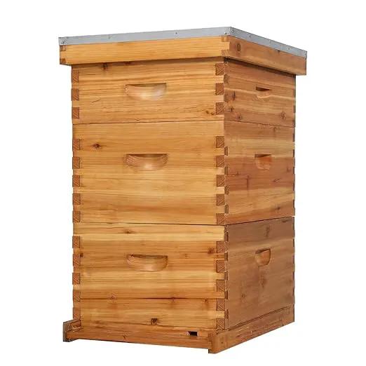 VINGLI 10-Frame Bee Hive, Wax Coated Beehive Starter Kit with Frames & Beeswax Coated Foundation Sheets (3 Layer) by GreenHaven Gardens