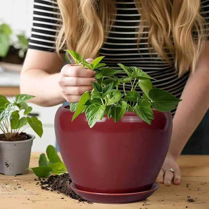 Ceramic Planter - 8 Inch Plant Pot Indoor with Drainage Hole and Saucer Planter for Outdoor Plants Round Flower Pot for House Patio Decor Red by GreenHaven Gardens