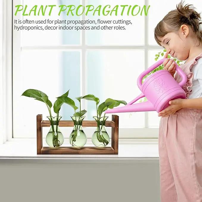 Plant Propagation Station Plant Terrarium Unique Birthday Gifts for Women Plant Lovers Home Office Decor Planter with Wooden Stand - 3 Bulb Glass Vase by GreenHaven Gardens