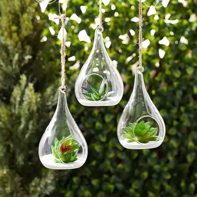 Juvale 5-Pack Hanging Glass Terrarium Containers - Air Plant Holder, Succulent Planter, Tea Light Candle Hangers (3.5x5 in) by GreenHaven Gardens
