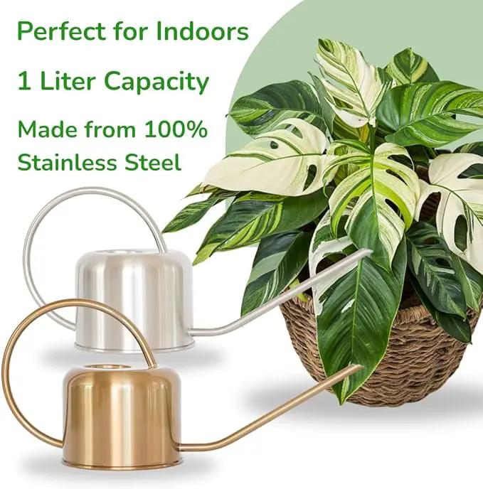 Stainless Steel Watering Can for Houseplants by Houseplant Resource Center | 1L Capacity for Indoor/Outdoor Plants in Brushed Gold by GreenHaven Gardens