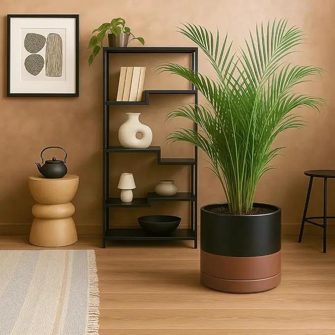 D'vine Dev 12 Inch Ceramic Planter Pot with Drainage Hole and Saucer, Indoor Cylinder Round Planter Pot, Black/Speckled Tan, 94-O-F-7 by GreenHaven Gardens