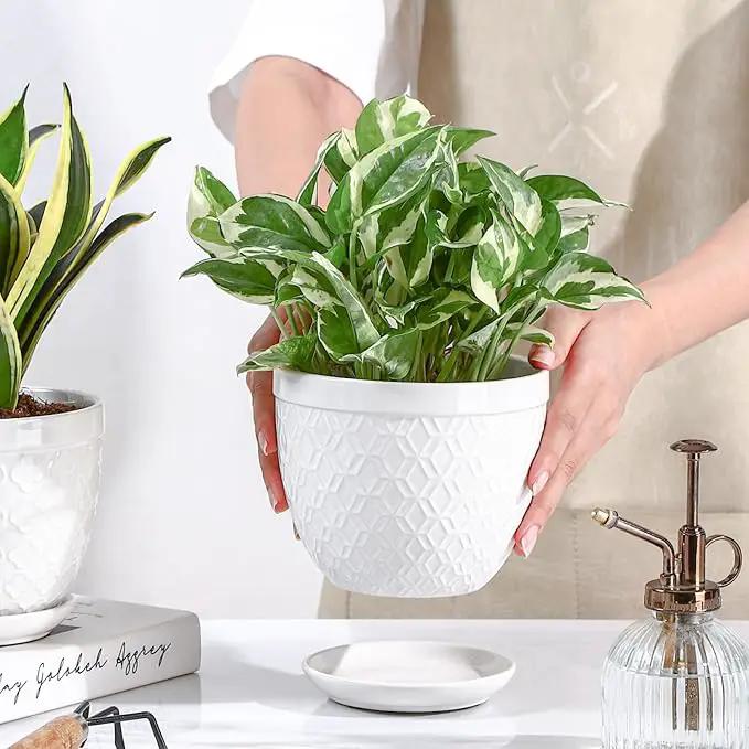 Sureasy Ceramic Indoor Plant Pots - 5.6 Inch Flower Pots for Plants with Drainage Hole and Saucer, Embossed Planter for Succulents, Orchid, Cactus, Indoor Home Decor, Set of 4, White by GreenHaven Gardens