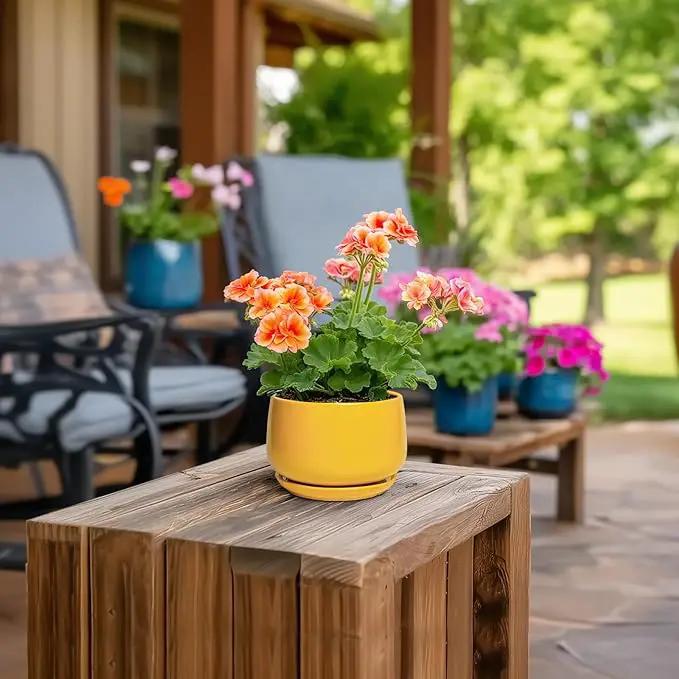 G EPGardening 4 Inch Ceramic Planter - Succulent Pots for Plants Indoor Outdoor, Small Plant Pots with Drainage Hole & Saucer, Round Planter, Modern Flower Pot, Home Decor, Plant Lover Gift, Yellow by GreenHaven Gardens