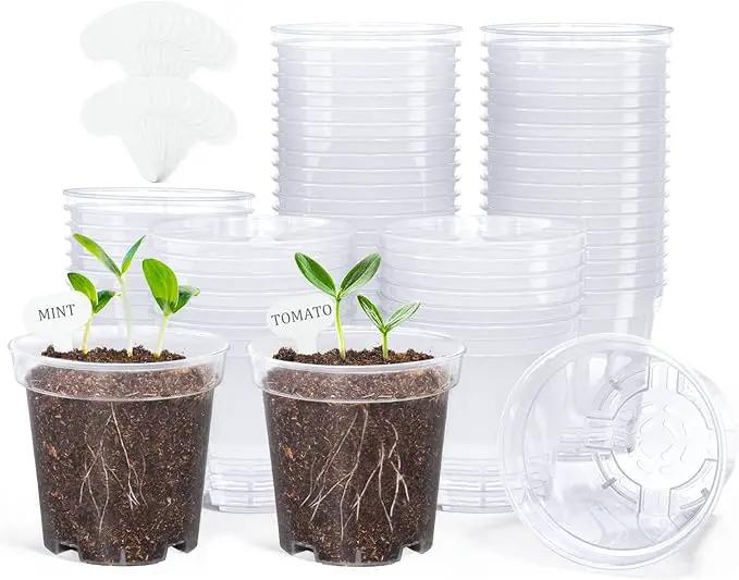 homenote Clear Nursery Pots for Plants,3 Inch Plant Pot for Planting Plastic Seedling with Drainage Holes Seed Starter Flower High Transparency with 20 Labels (60 Pack) by GreenHaven Gardens