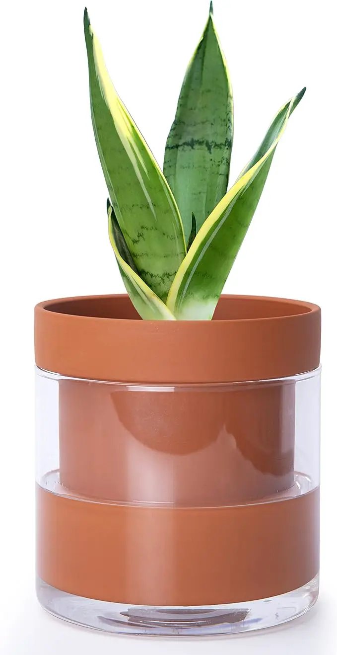 Phoenix Vine 6 Inch Self Watering Planter Pot, Terracotta Clay Pot with Glass Reservoir for Indoor Plants, Herbs, Flowers, Set of 1, 52-A-F-1 by GreenHaven Gardens