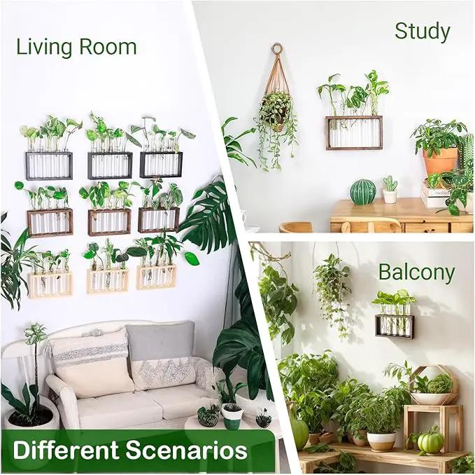 Ivolador Plant Propagation Station Terrariumin Wall Test Tube Vases Bud Tabletop Glass Wooden Stand with 5 Propagation Tubes for Propagating Hydroponic Plants Home Garden Wedding Decoration-Brown by GreenHaven Gardens