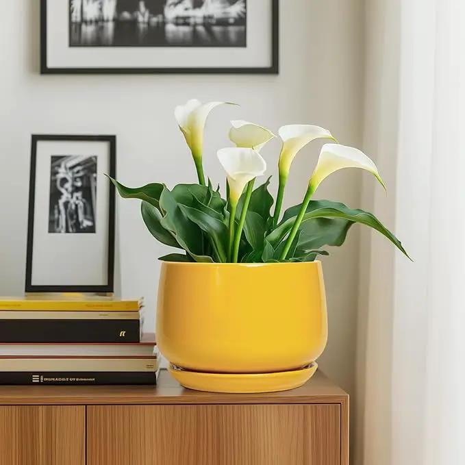 G EPGardening Ceramic Flower Pot - 9 Inch Plant Pots for Indoor Outdoor Plants, Round Ceramic Planter with Drainage and Plant Saucer, Modern Planter, Home Office Decor, Garden Gifts, Yellow by GreenHaven Gardens