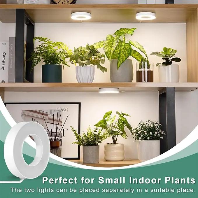 LORDEM Grow Light for Indoor Plants, 48 LEDs Ceiling Full Spectrum Plant Light, 5V Corded Growing Lamp with 4/8/12H Auto Switch, 4 Dimmable Brightness Levels, Single-Head, 3 Pack by GreenHaven Gardens