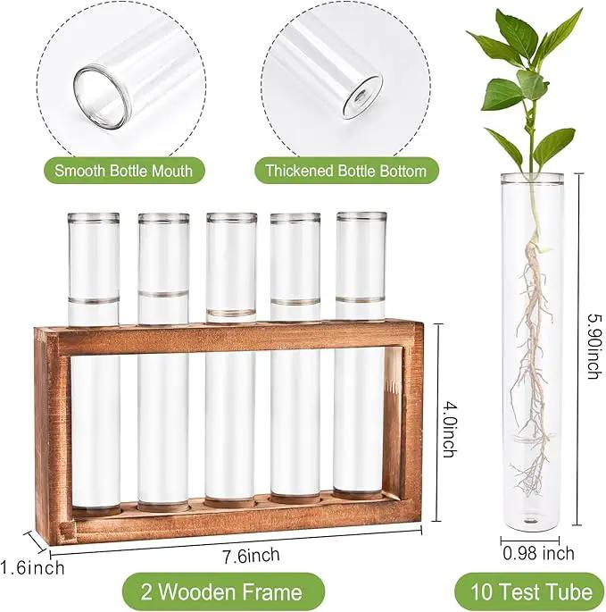 2pcs Desktop Glass Plant Propagation Station with 10 Test Tubes in Wooden Stand - Hydroponic Plants Cutting Office Home Decoration and Garden Decor Terrarium (10 Tubes) by GreenHaven Gardens