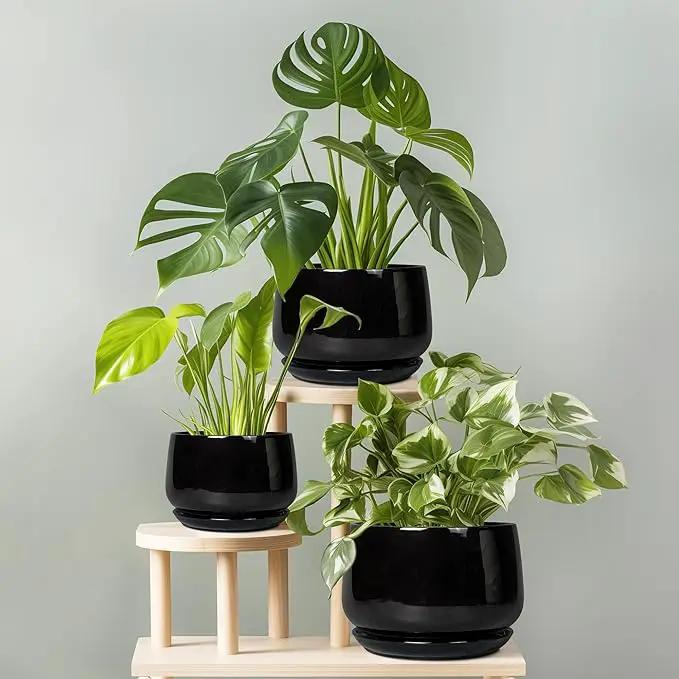G EPGardening Ceramic Plant Pots - 9 Inch Round Planter, Ceramic Pots for Plants with Drainage and Tray, Flower Indoor Outdoor Planter, Modern Desk Decor, Plant Lover Gifts, Black by GreenHaven Gardens