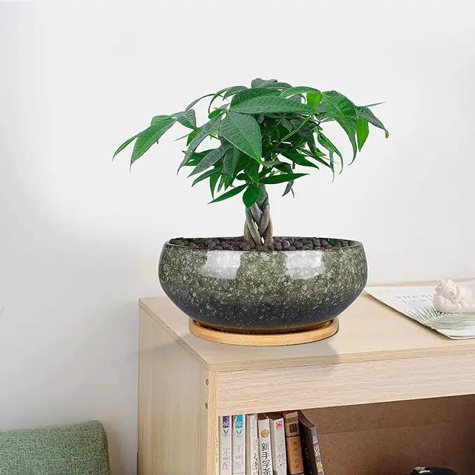 8 Inch Ceramic Bonsai Planter Pot, Glazed Shallow Succulent Planter with Drainage Hole and Bamboo Saucer for Indoor Plants, Green by GreenHaven Gardens