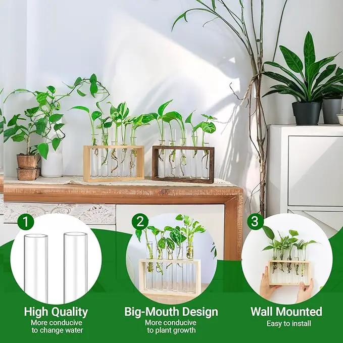 Ivolador Plant Propagation Station Terrariumin Wall Test Tube Vases Bud Tabletop Glass Wooden Stand with 5 Propagation Tubes for Propagating Hydroponic Plants Home Garden Wedding Decoration-Beige by GreenHaven Gardens
