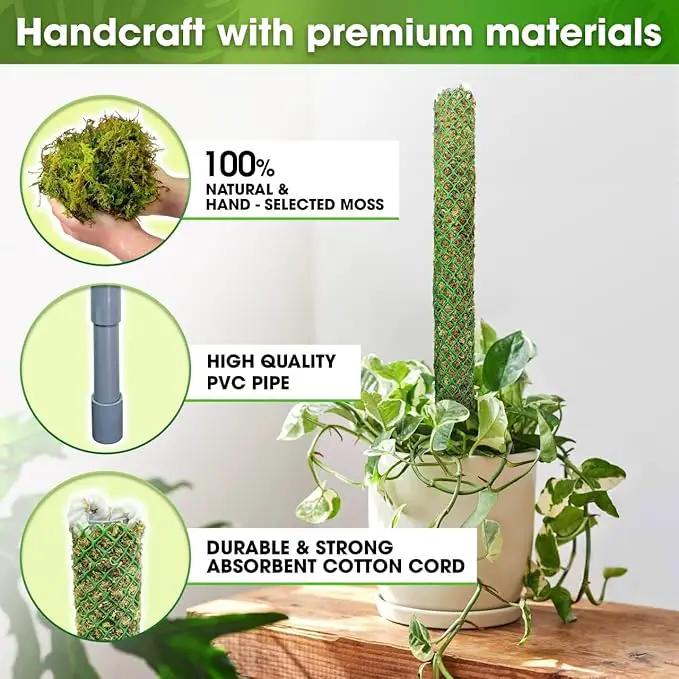 DUSPRO Self-Watering Natural Green Forest Moss Pole, Easy to Use Moss Sticks for Indoor Plants, Climbing Plant Support Stake with Self-Watering Feature, Moss Pole Monstera Plant Support 2pcs 23'' by GreenHaven Gardens