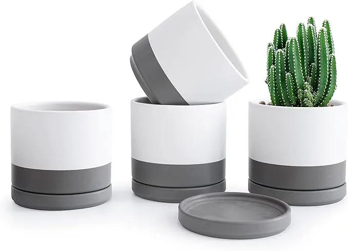 D'vine Dev Set of 4 Small Ceramic Plant Pots, 4.6 Inch Succulent Planter Pot for Plants with Drainage Hole and Saucer, White/Speckled Grey, 94-X-B-6 by GreenHaven Gardens