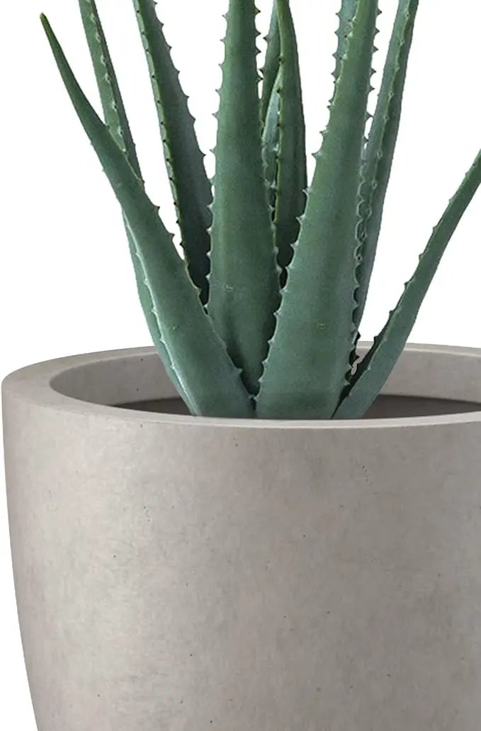 Kante 10 Inch Dia Round Concrete Planter, Indoor Outdoor Large Plant Pot with Drainage Hole and Rubber Plug for Home Patio Garden, Buff Concrete by GreenHaven Gardens