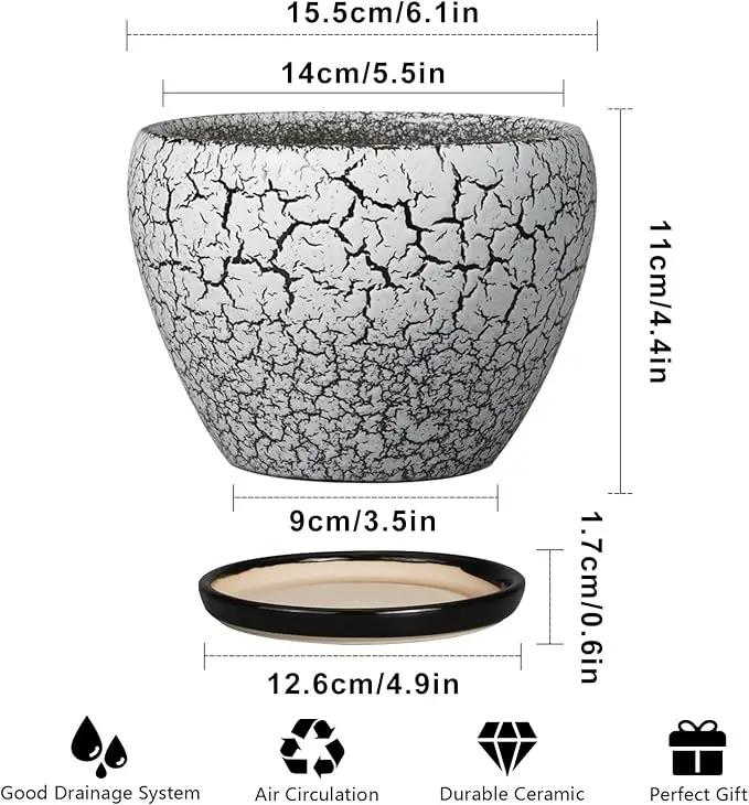 Ceramic Planter Pot - 6 Inch Plant Pot with Drainage Hole and Saucer, Succulent Pot Glaze Round for Indoor Outdoor Plants, White and Black by GreenHaven Gardens