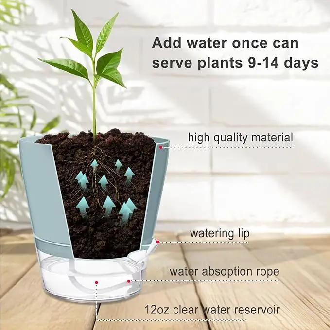 Hayder Plant Pots 6 inch Set of 6, Self Watering Flower Pots Indoor Outdoor, Self Watering Planters with Drainage Hole & Clear Saucer Reservoir by GreenHaven Gardens