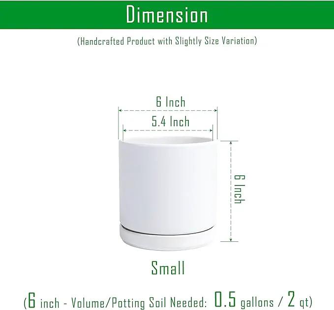 D'vine Dev Set of 2 Plants Pots, 6 Inch Ceramic Planter Pot for Plants with Drainage Hole and Saucer, White, 94-V-C-1 by GreenHaven Gardens