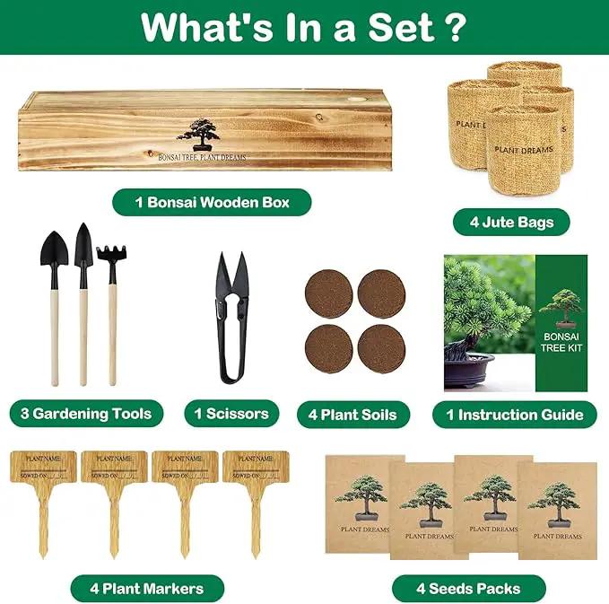 Bonsai Tree Kit, Bonsai Starter Kit for Growing Bonsai Plants with Tools, Grow Bonsai Tree Live Indoor, Garden Crafts Hobby Kits, Unique DIY Gardening Gifts for Men Women Mother by GreenHaven Gardens