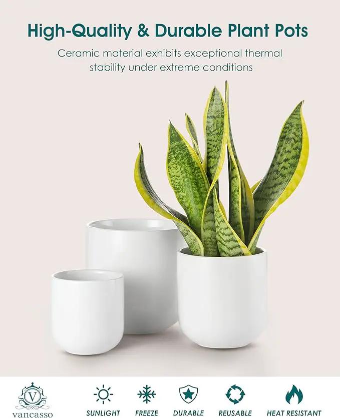 vancasso Ceramic Plant Pots, 4+5+6 inches, Set of 3, Planters with Drainage Hole, Flower Pots Planters Pots for Indoor Plants, Modern Indoor Decorative Garden Pot, Home Decor, White by GreenHaven Gardens