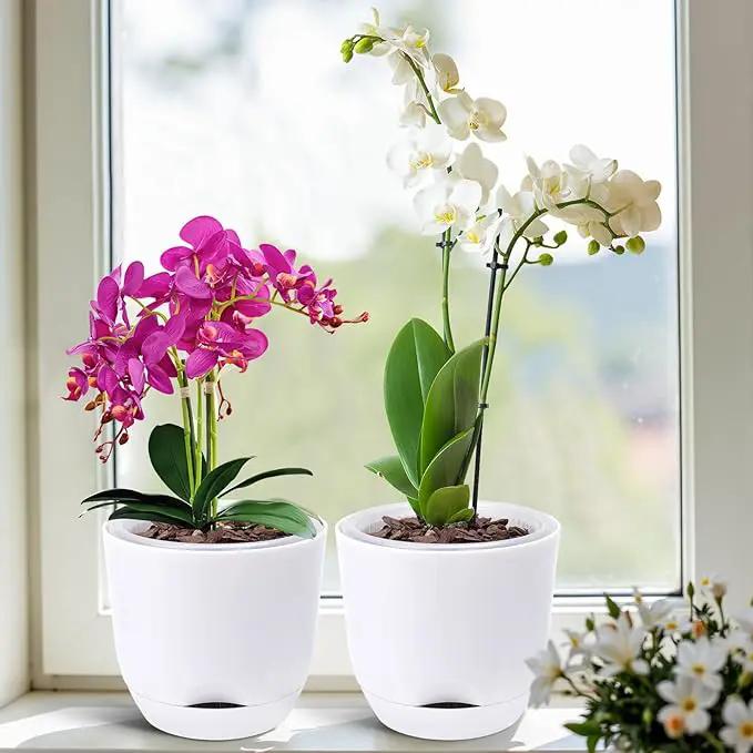QCQHDU 2 Pack Orchid Pots with Holes for Repotting, Double-Layer and Self Watering Orchid Pot with Good Air Circulation by GreenHaven Gardens